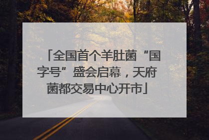 全国首个羊肚菌“国字号”盛会启幕，天府菌都交易中心开市