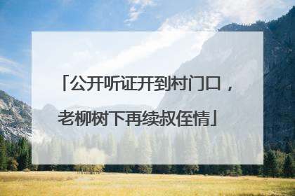 公开听证开到村门口，老柳树下再续叔侄情
