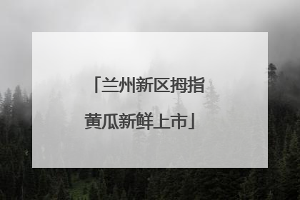 兰州新区拇指黄瓜新鲜上市