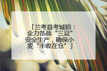 兰考县考城镇：全力备战“三夏”安全生产，确保小麦“丰收在仓”