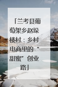 兰考县葡萄架乡赵垛楼村：乡村电商里的“甜蜜”创业路