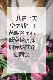 共拓“天空之城”！黄陂区举行低空经济深圳专场推介招商会