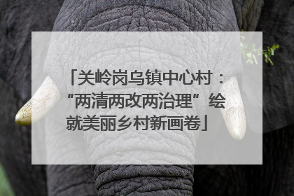 关岭岗乌镇中心村：“两清两改两治理”绘就美丽乡村新画卷