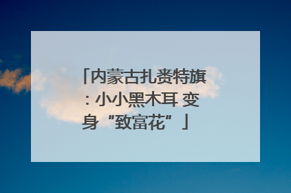 内蒙古扎赉特旗：小小黑木耳 变身“致富花”
