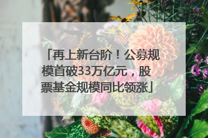 再上新台阶！公募规模首破33万亿元，股票基金规模同比领涨