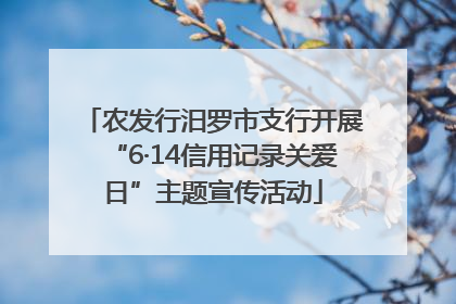 农发行汨罗市支行开展“6·14信用记录关爱日”主题宣传活动
