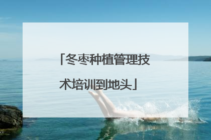 冬枣种植管理技术培训到地头