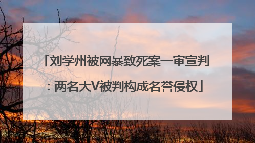 刘学州被网暴致死案一审宣判：两名大V被判构成名誉侵权