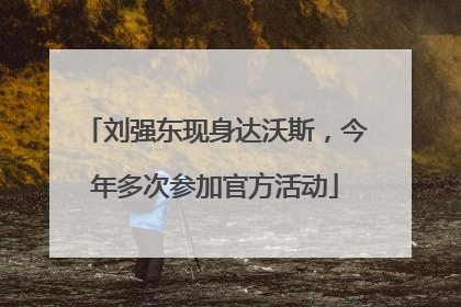 刘强东现身达沃斯，今年多次参加官方活动