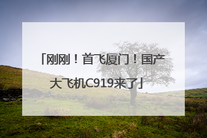 刚刚！首飞厦门！国产大飞机C919来了