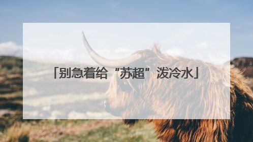别急着给“苏超”泼冷水
