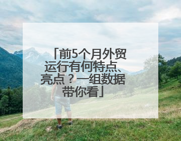 前5个月外贸运行有何特点、亮点？一组数据带你看