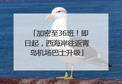 加密至36班！即日起，西海岸往返青岛机场巴士升级