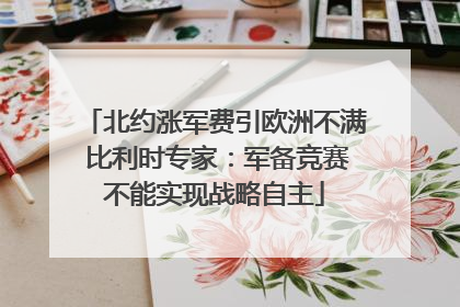 北约涨军费引欧洲不满 比利时专家：军备竞赛不能实现战略自主
