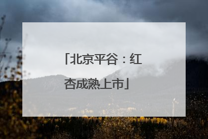 北京平谷：红杏成熟上市