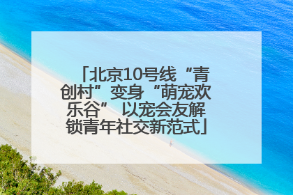 北京10号线“青创村”变身“萌宠欢乐谷” 以宠会友解锁青年社交新范式
