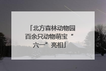 北方森林动物园百余只动物萌宝“六一”亮相