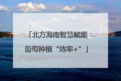 北方海南智慧赋能：葡萄种植“效率+”