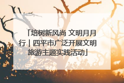 培树新风尚 文明月月行｜四平市广泛开展文明旅游主题实践活动