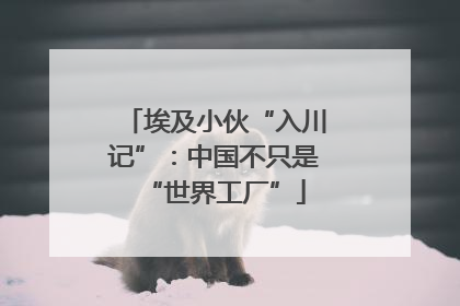埃及小伙“入川记”：中国不只是“世界工厂”