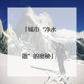 城市“净水器”的奥秘