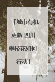 城市有机更新 四川攀枝花如何行动