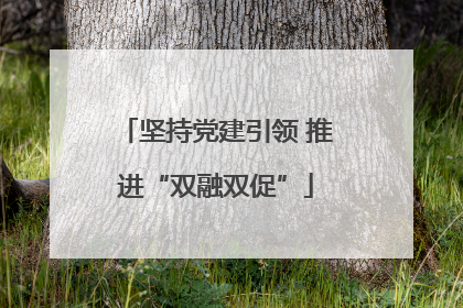坚持党建引领 推进“双融双促”
