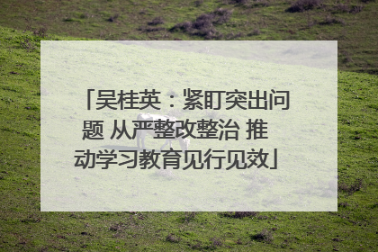 吴桂英：紧盯突出问题 从严整改整治 推动学习教育见行见效