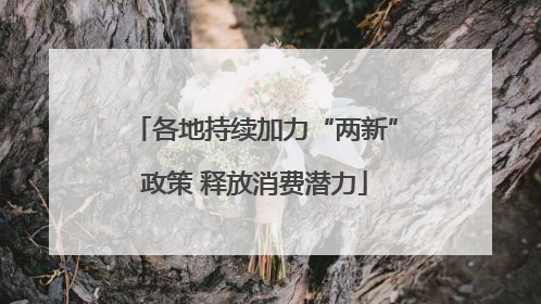 各地持续加力“两新”政策 释放消费潜力