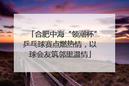 合肥中海“领潮杯”乒乓球赛点燃热情，以球会友筑邻里温情