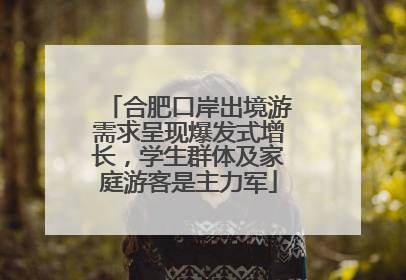 合肥口岸出境游需求呈现爆发式增长，学生群体及家庭游客是主力军