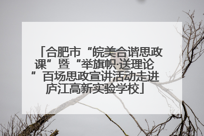 合肥市“皖美合谐思政课”暨“举旗帜·送理论”百场思政宣讲活动走进庐江高新实验学校