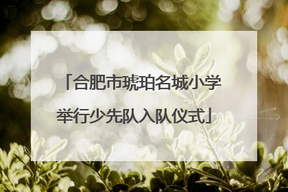 合肥市琥珀名城小学举行少先队入队仪式