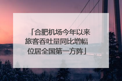 合肥机场今年以来旅客吞吐量同比增幅位居全国第一方阵