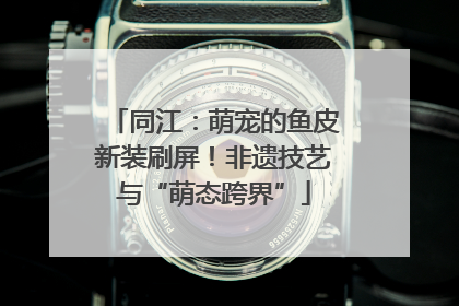 同江：萌宠的鱼皮新装刷屏！非遗技艺与“萌态跨界”