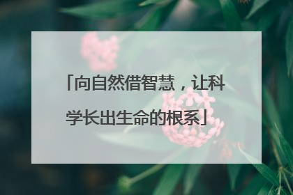 向自然借智慧，让科学长出生命的根系