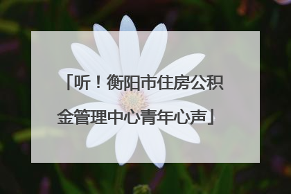 听！衡阳市住房公积金管理中心青年心声