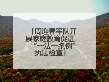 周迎春率队开展家庭教育促进“一法一条例”执法检查
