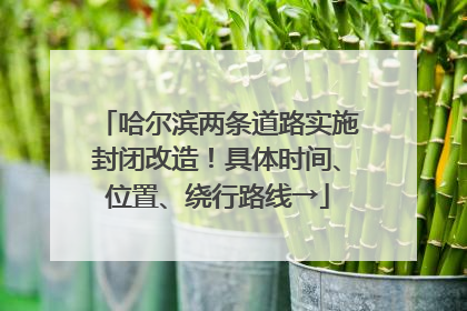 哈尔滨两条道路实施封闭改造！具体时间、位置、绕行路线→