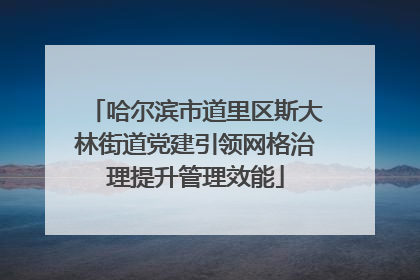 哈尔滨市道里区斯大林街道党建引领网格治理提升管理效能