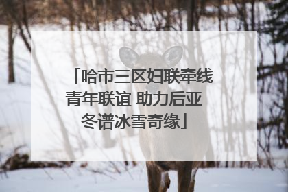 哈市三区妇联牵线青年联谊 助力后亚冬谱冰雪奇缘
