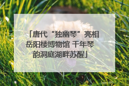 唐代“独幽琴”亮相岳阳楼博物馆 千年琴韵洞庭湖畔苏醒