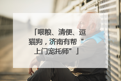 喂粮、清便、逗猫狗，济南有帮“上门宠托师”