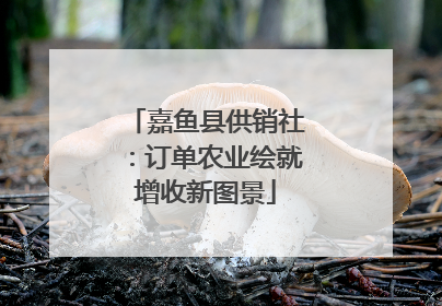 嘉鱼县供销社：订单农业绘就增收新图景