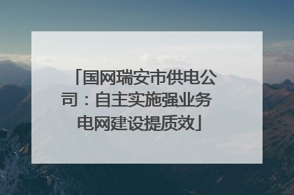 国网瑞安市供电公司：自主实施强业务 电网建设提质效