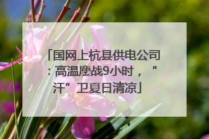 国网上杭县供电公司：高温鏖战9小时，“汗”卫夏日清凉