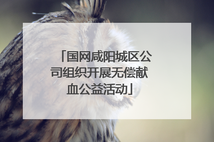国网咸阳城区公司组织开展无偿献血公益活动