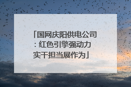 国网庆阳供电公司：红色引擎强动力 实干担当展作为