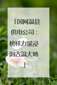国网温县供电公司：榜样力量浸润古温大地