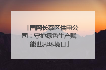 国网长泰区供电公司：守护绿色生产赋能世界环境日